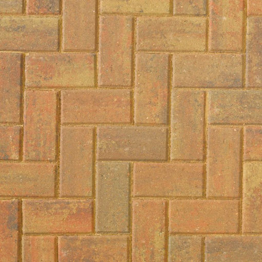 Picture of Autumn Gold Omega 60mm block pavior