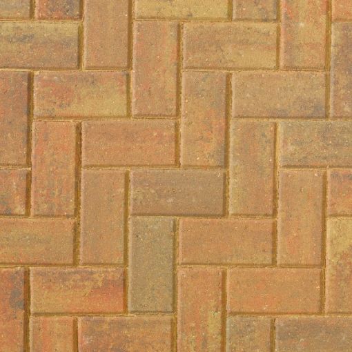 Picture of Autumn Gold Omega 60mm block pavior