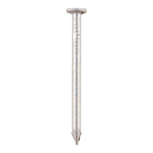 Picture of TIMCO Round Wire Nails Galvanised - 75 x 3.75 (1kg TIMbag)