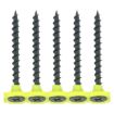 Picture of TIMCO Collated 3.5 x 55 Drywall Coarse Thread Bugle Head Black Screws (Box of 1000)