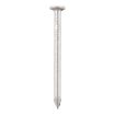 Picture of TIMCO Round Wire Nails 100 x 4.50 - Galvanised 2.5kg