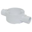 Picture of PVC 2 Way Through Box 20mm White