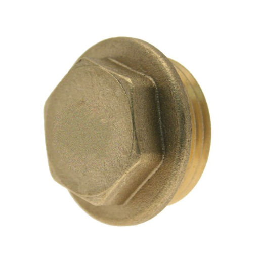 Picture of Brass Flanged Plug 1"