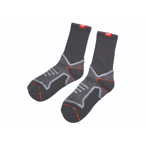 Picture of Scan Work Socks Twin Pack