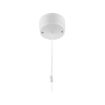 Picture of Ceiling Switch, 2 way - White