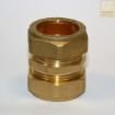 Picture of Compression Coupling Straight 22MM